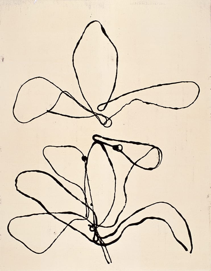 Original David Band artwork Lily #3 from 2005 Changing Seasons exhibition. Minimalist black ink gestural line drawing of a lily on warm off-white paper.