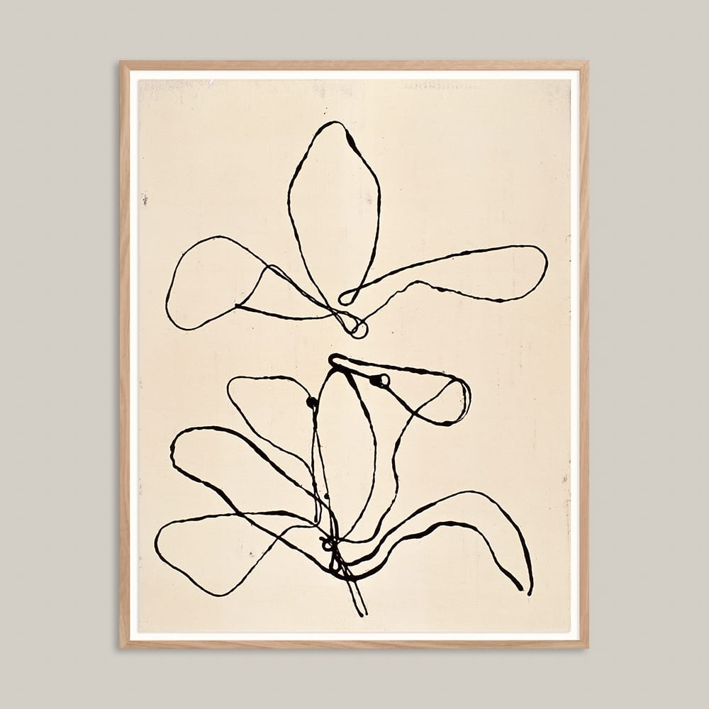 Original artwork David Band: Lily #3 from 2005 framed and displayed on a gallery wall. The minimalist black ink 'drawing' is featured in a contemporary interior setting with natural lighting.